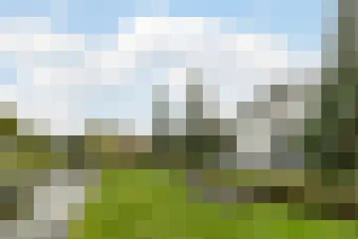 Zuidwijk 45 Boskoop thumbnail 45