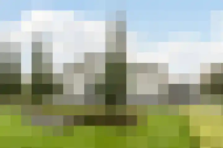 Zuidwijk 45 Boskoop thumbnail 46