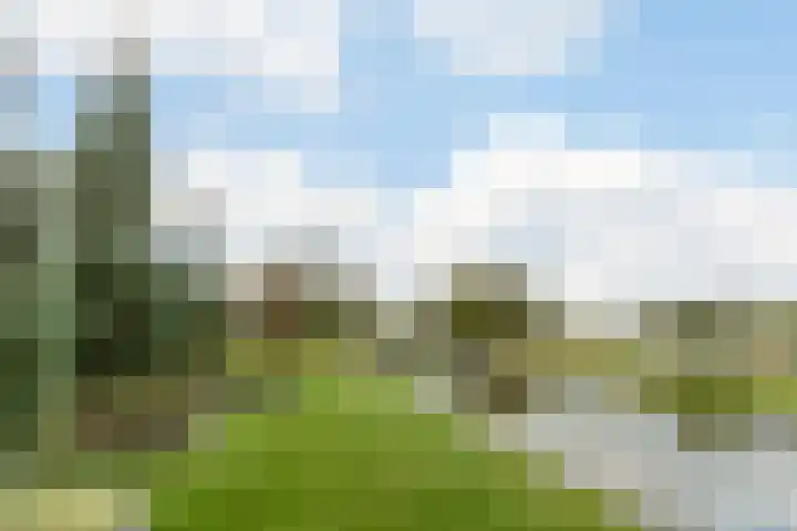 Zuidwijk 45 Boskoop thumbnail 47