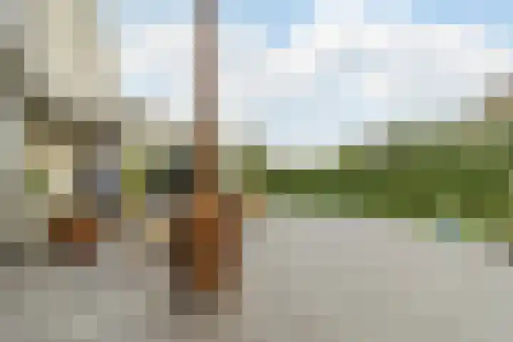 Zuidwijk 45 Boskoop thumbnail 51