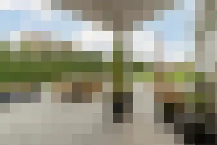 Zuidwijk 45 Boskoop thumbnail 54