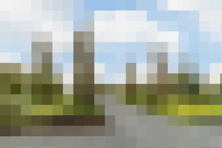 Zuidwijk 45 Boskoop thumbnail 56