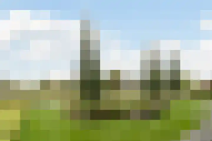 Zuidwijk 45 Boskoop thumbnail 57