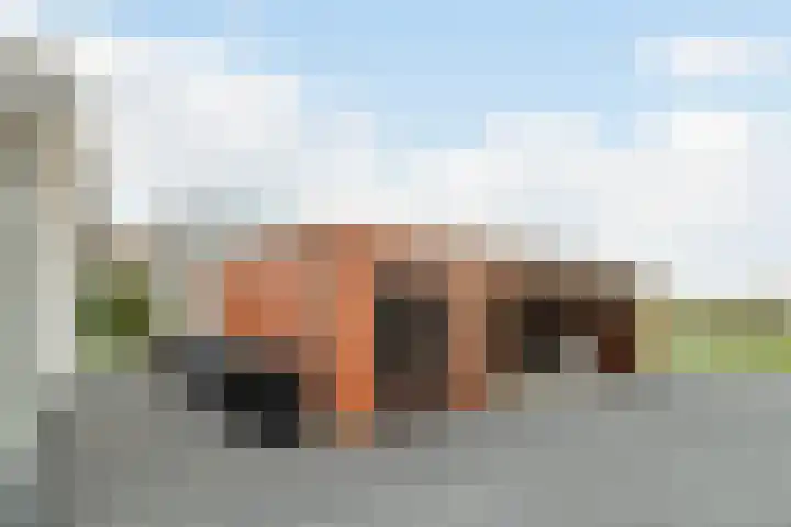 Zuidwijk 45 Boskoop thumbnail 58