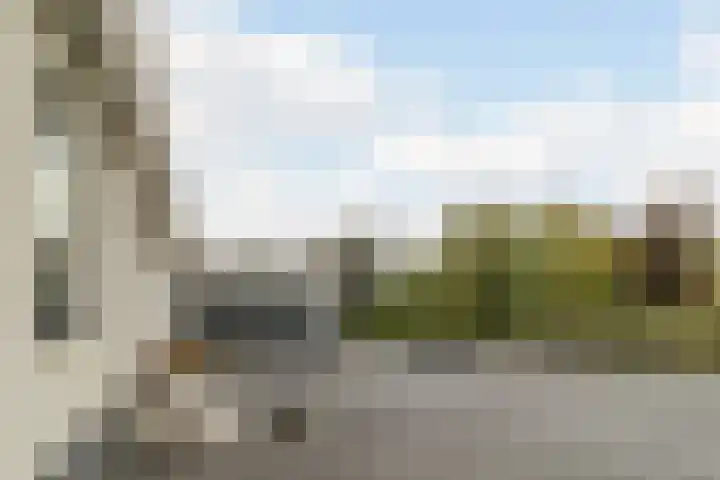 Zuidwijk 45 Boskoop thumbnail 6