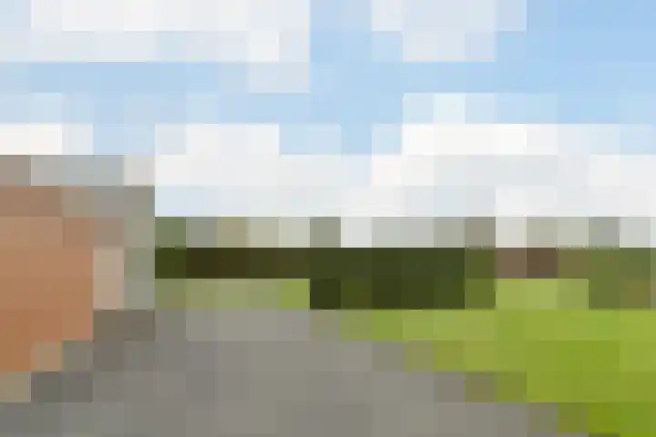 Zuidwijk 45 Boskoop thumbnail 60