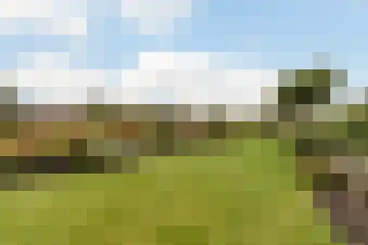 Zuidwijk 45 Boskoop thumbnail 61
