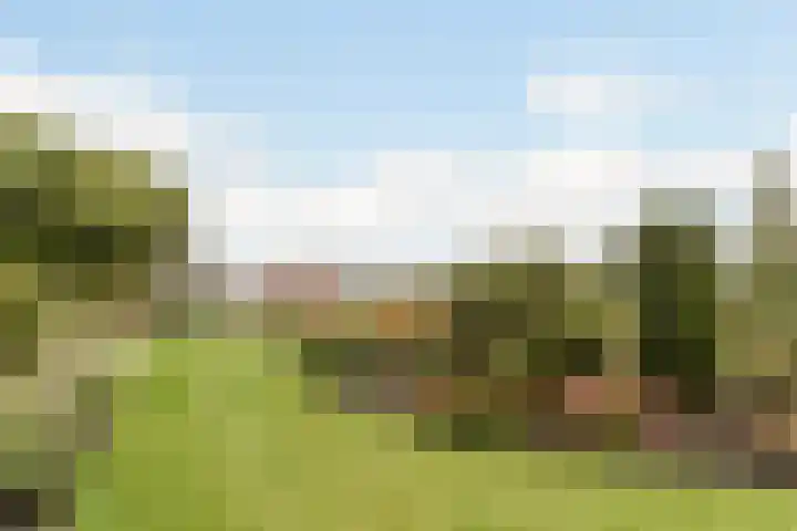 Zuidwijk 45 Boskoop thumbnail 62