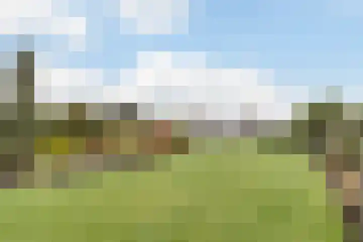 Zuidwijk 45 Boskoop thumbnail 63