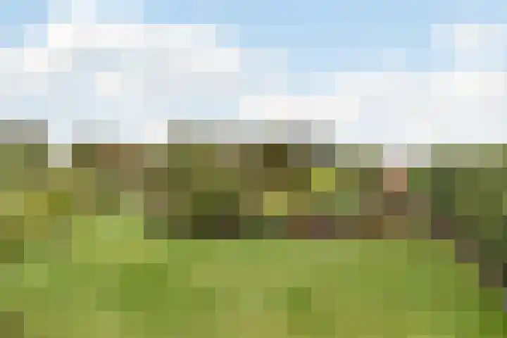 Zuidwijk 45 Boskoop thumbnail 64