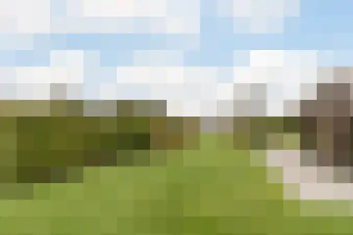 Zuidwijk 45 Boskoop thumbnail 65