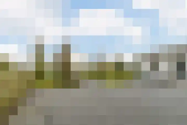 Zuidwijk 45 Boskoop thumbnail 7