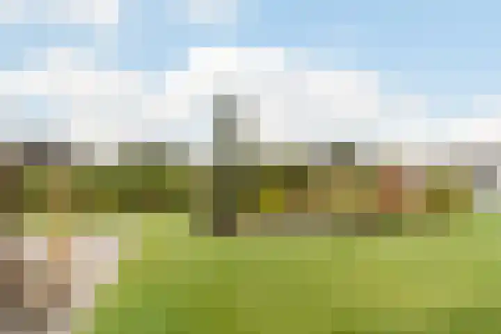 Zuidwijk 45 Boskoop thumbnail 72