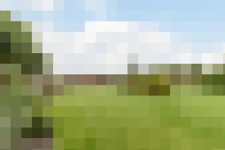 Zuidwijk 45 Boskoop thumbnail 73