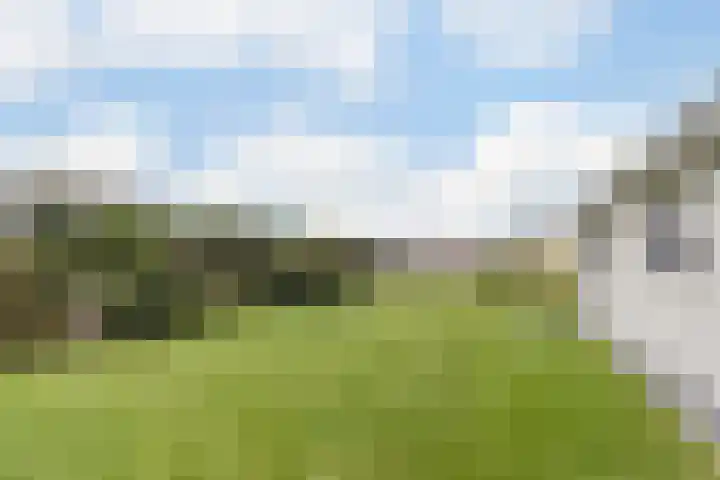 Zuidwijk 45 Boskoop thumbnail 74
