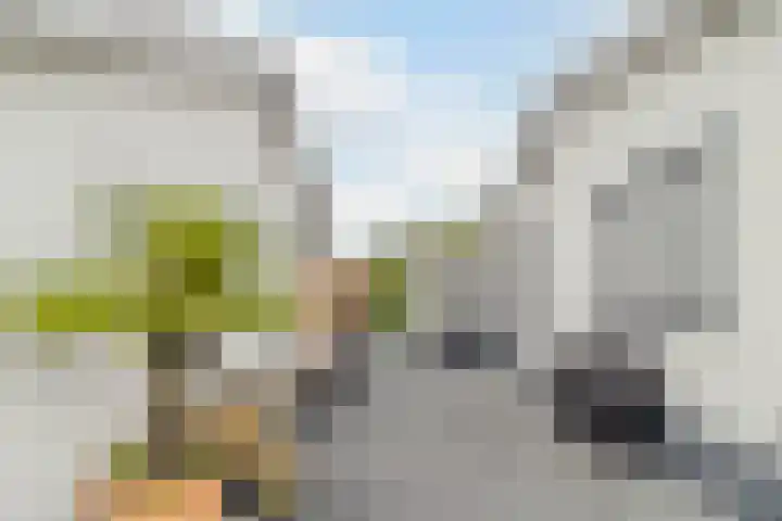 Zuidwijk 45 Boskoop thumbnail 75