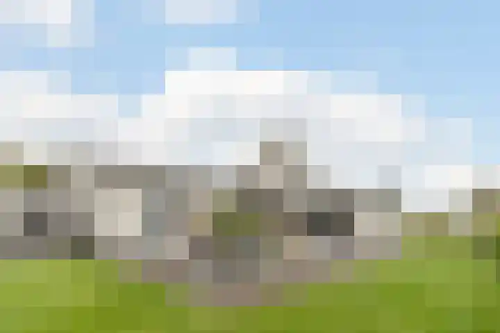 Zuidwijk 45 Boskoop thumbnail 76