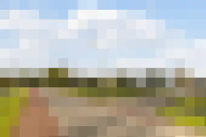 Zuidwijk 45 Boskoop thumbnail 78