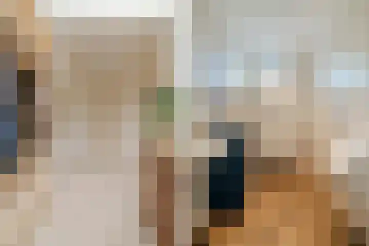 Zuidwijk 45 Boskoop thumbnail 8