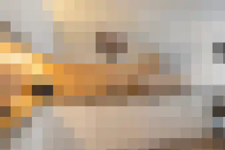 Zuidwind 20 B 's-Gravenzande thumbnail 8