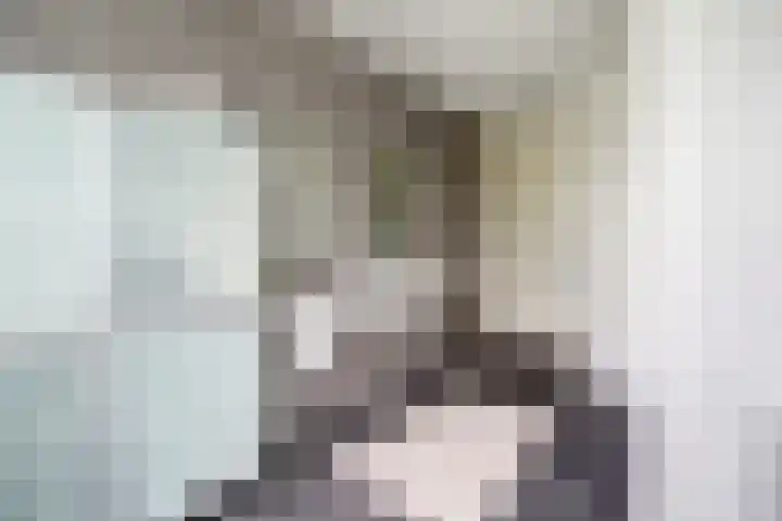 Zuidzijde 39 Bodegraven thumbnail 23