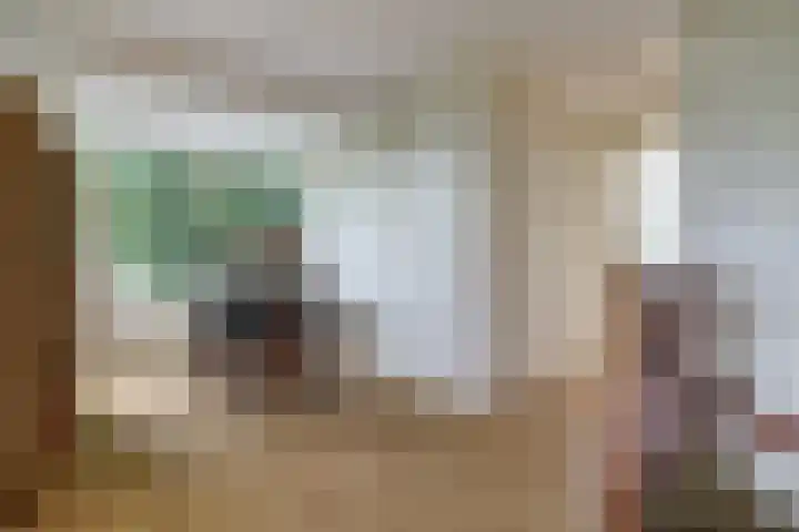 Zuidzijde 39 Bodegraven thumbnail 28