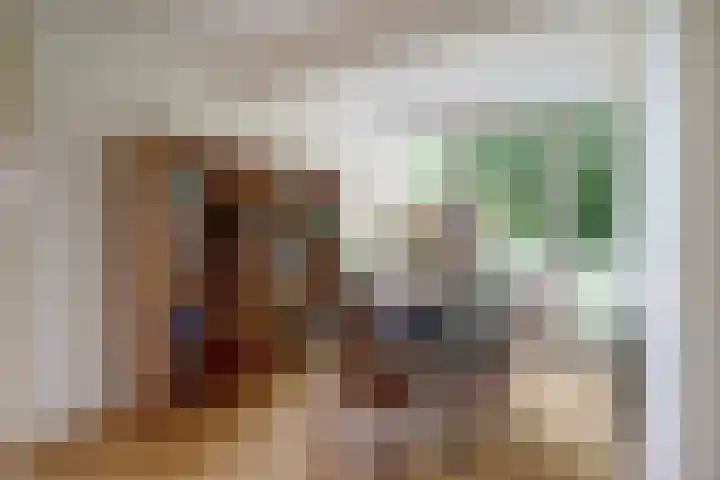 Zuidzijde 39 Bodegraven thumbnail 29