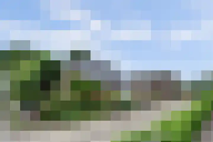 Zuidzijde 39 Bodegraven foto 3