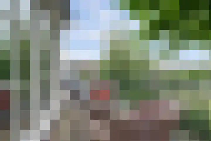 Zuidzijde 39 Bodegraven thumbnail 30