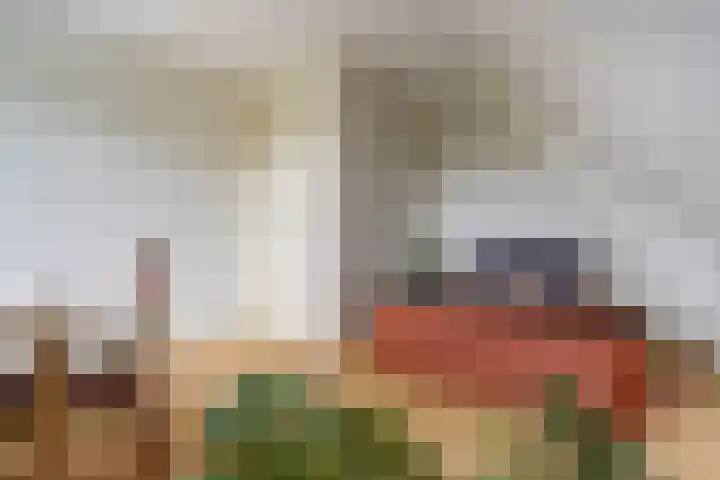 Zuidzijde 39 Bodegraven thumbnail 36