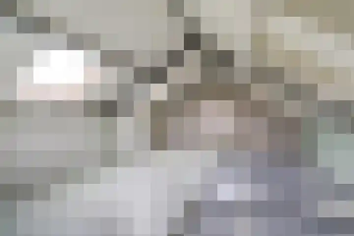 Zuidzijde 39 Bodegraven thumbnail 45