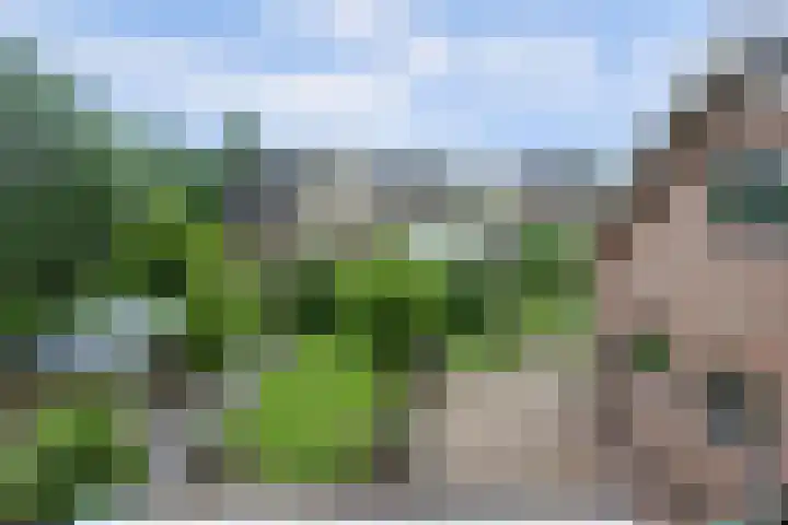 Zuidzijde 39 Bodegraven thumbnail 46