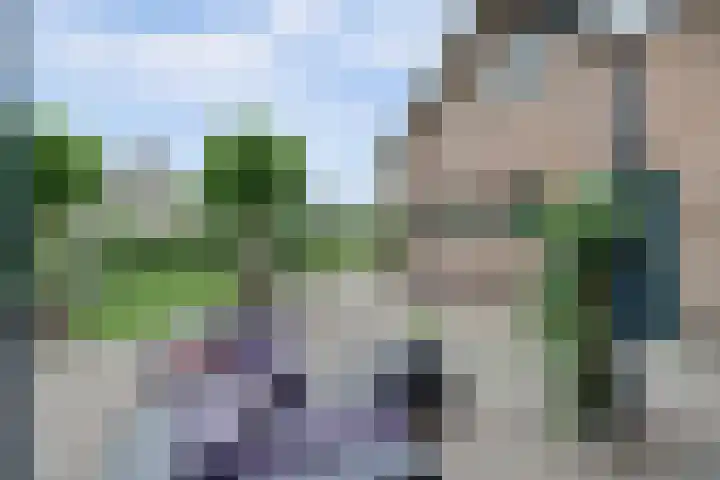 Zuidzijde 39 Bodegraven thumbnail 48