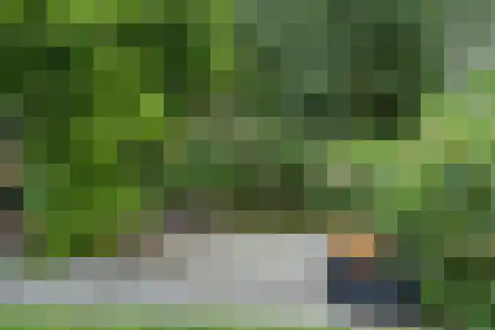 Zuidzijde 39 Bodegraven thumbnail 50