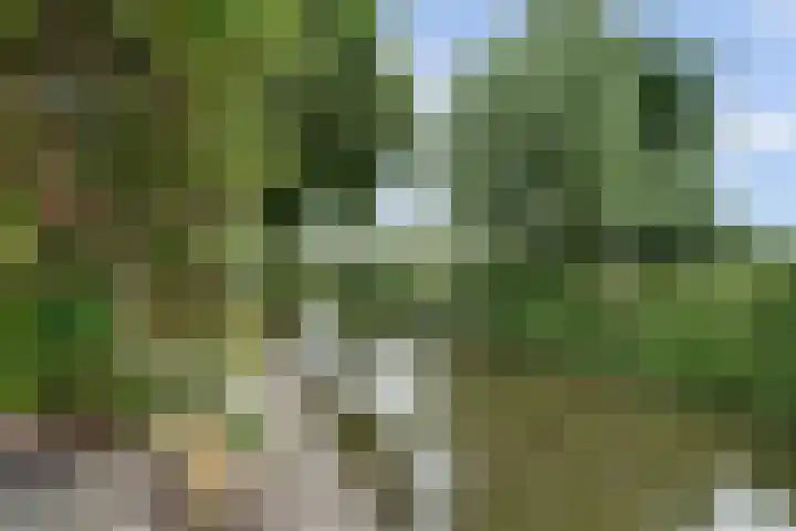 Zuidzijde 39 Bodegraven thumbnail 52