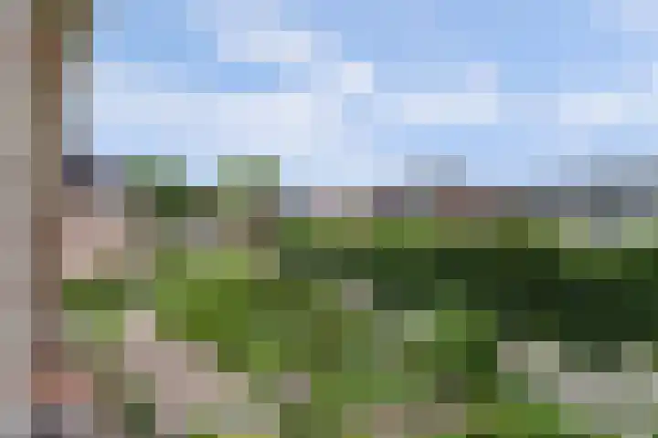 Zuidzijde 39 Bodegraven thumbnail 58