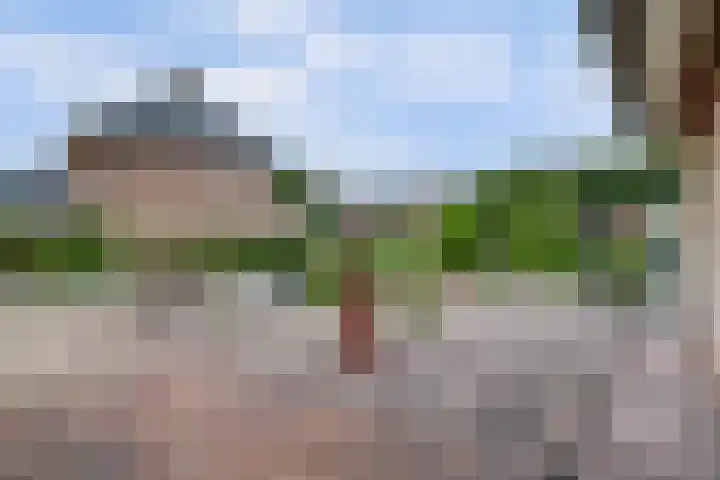 Zuidzijde 39 Bodegraven thumbnail 60