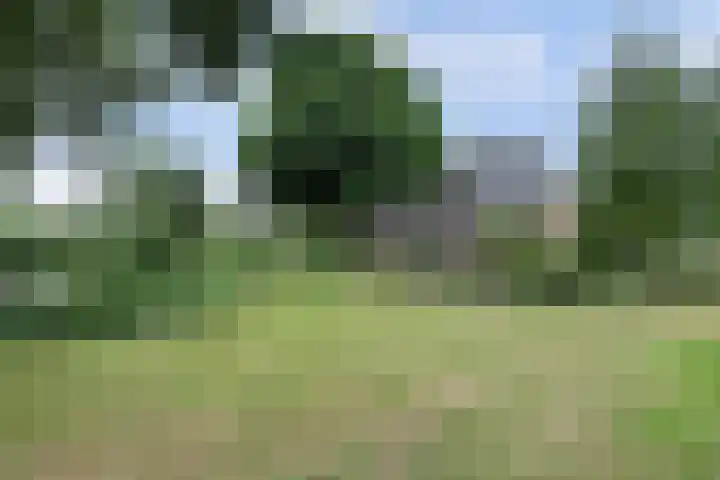 Zuidzijde 39 Bodegraven thumbnail 63