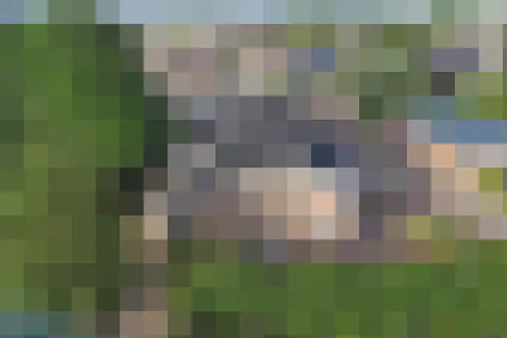 Zuidzijde 39 Bodegraven thumbnail 65