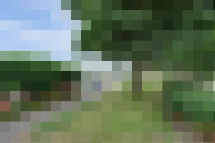 Zuidzijde 39 Bodegraven thumbnail 67