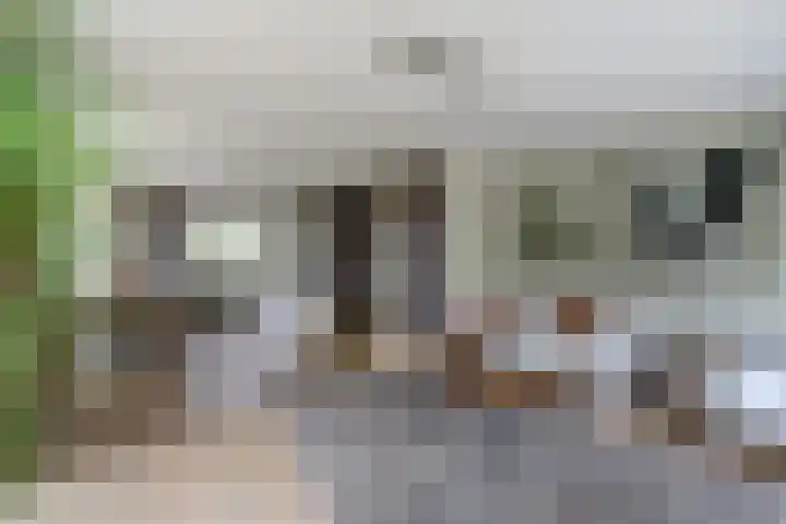 Zuidzijde 39 Bodegraven thumbnail 8