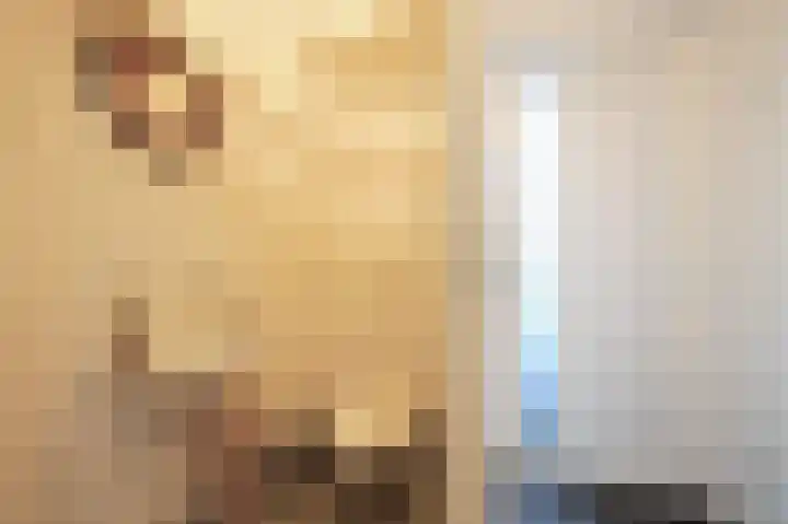 Zuilenburg 4 Heemskerk thumbnail 13