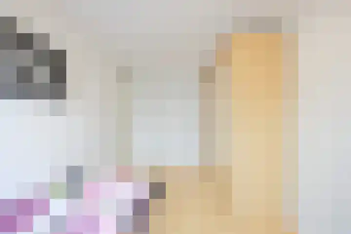 Zuilenburg 4 Heemskerk thumbnail 21
