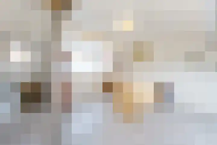 Zuilenburg 4 Heemskerk thumbnail 29