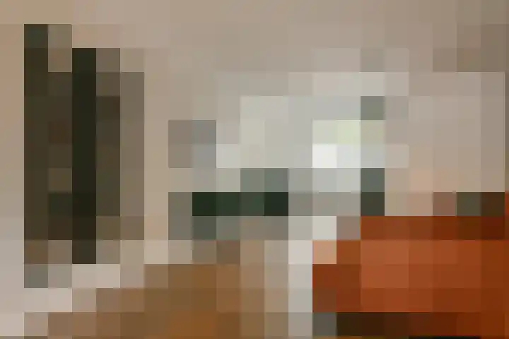 Zuilenburg 55 Heemskerk thumbnail 5