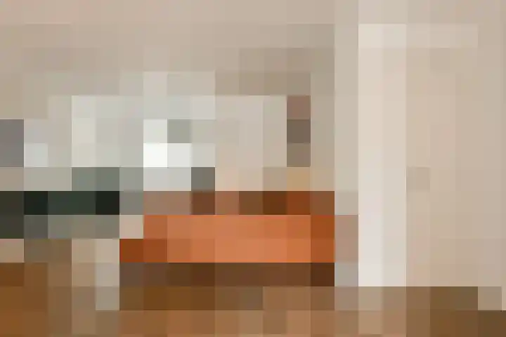 Zuilenburg 55 Heemskerk thumbnail 7