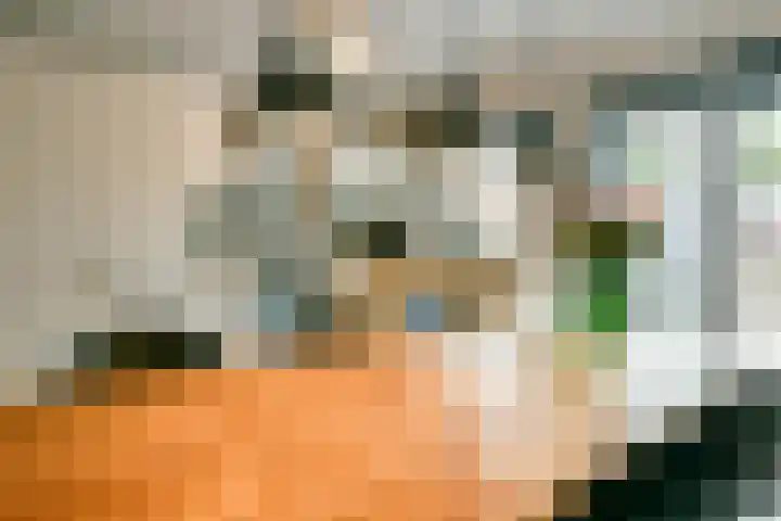Zuilenburg 55 Heemskerk thumbnail 8