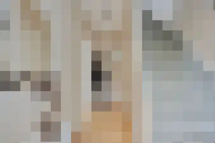 Zuilestein 8 Leiderdorp thumbnail 11