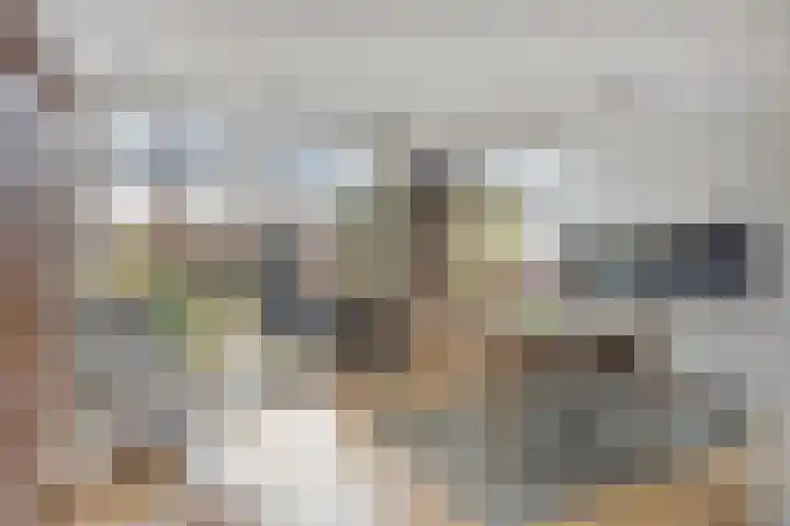 Zuilestein 8 Leiderdorp thumbnail 15