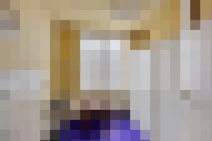 Zuilestein 8 Leiderdorp thumbnail 31